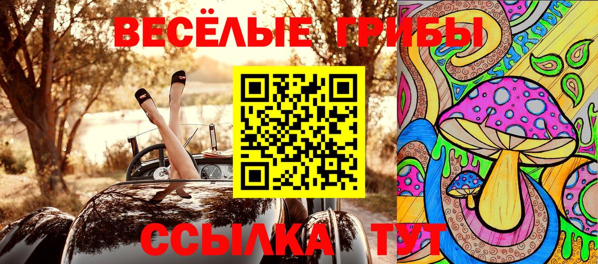 Галлюциногенные грибы Psilocybine cubensis Алейск