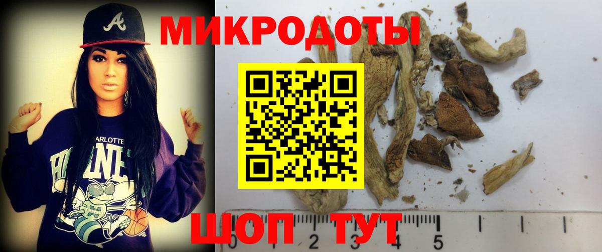 Галлюциногенные грибы MAGIC MUSHROOMS  Псилоцибиновые грибы MAGIC MUSHROOMS  Вход с VPN  Алейск 